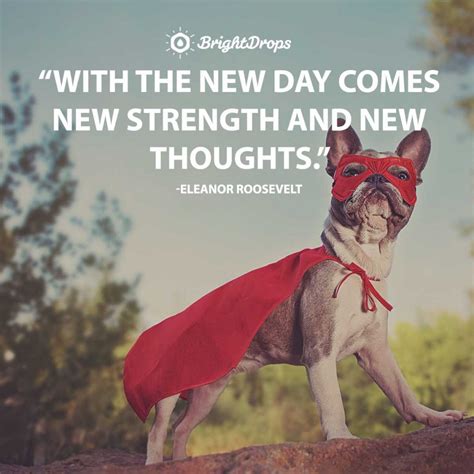 27 Funny Good Morning Quotes to Jumpstart Your Day - Bright Drops