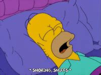 Snoring GIFs - Get the best gif on GIFER