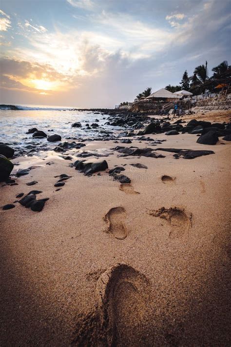 A beach in Dakar, Africa stock image. Image of palm - 163893395