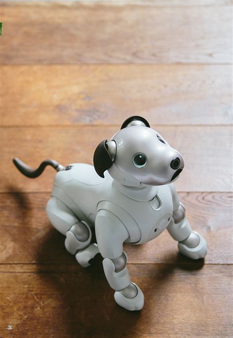 What Does The Aibo Robot Dog Do