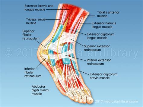 Singapore Foot Specialist Clinic | Singapore Sports and Orthopaedic ...