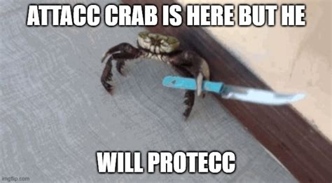 Knife wielding crab - Imgflip