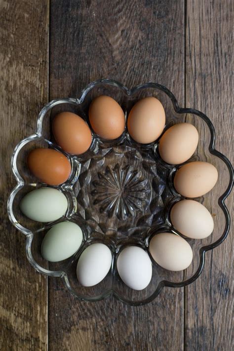 Cage-Free or Free Range: Egg Labels Explained - Wholefully