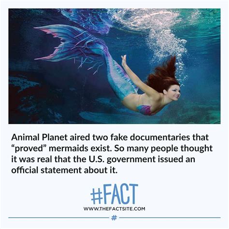 Animal Planet aired two fake documentaries that “proved” mermaids exist ...