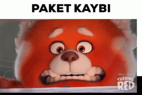 Paket Kayb Paket Kayb Package Loss | GIF | PrimoGIF