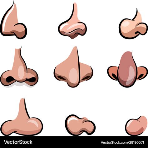 Nose Cartoon Set For Character Animation Vector Image | My XXX Hot Girl