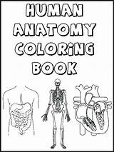 Human Organs Coloring Pages At GetColoringscom  Free Printable sketch template