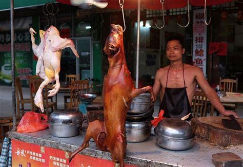 China's Dog Meat Problem - Bloomberg