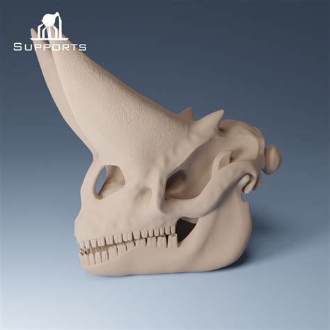 3D Printable Arsinoitherium Skull by The King of Bits