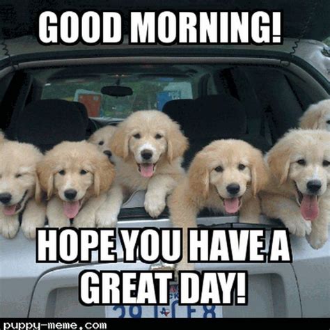 101 "Have a Great Day" Memes To Wish Someone Special a Good Day | Good ...