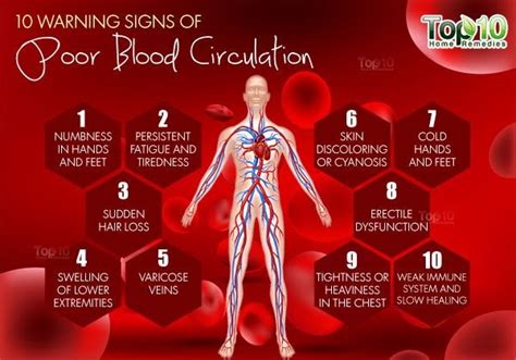 NaturesWay: 10 Warning Signs of Poor Blood Circulation