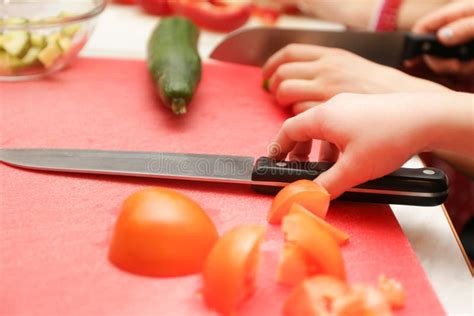 Chopping vegetables stock image. Image of tomato, hands - 36158665