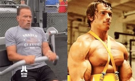 Entrenamiento Arnold Schwarzenegger 2023