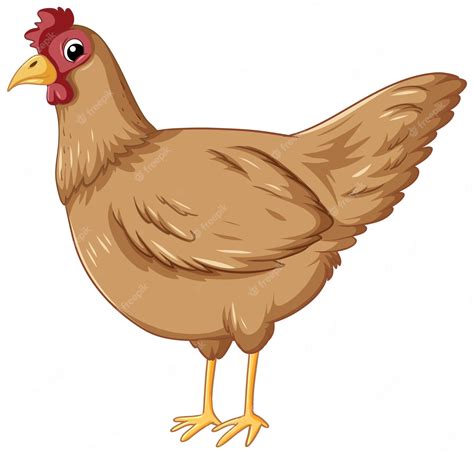 Chicken Galliformes Rooster Clip Art, PNG, 1953x2323px, Chicken - Clip ...
