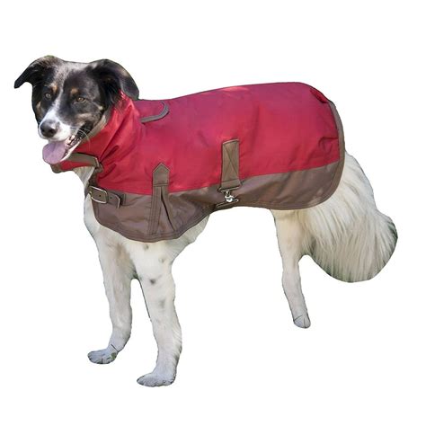 Fashion Pet Horse Blanket Waterproof Dog Coat, X-Small, Red - Walmart ...