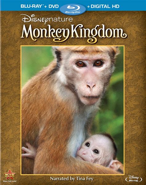 Movie Review: ‘Monkey Kingdom’ Takes Us On A Heartwarming Adventure « FreshFiction.tv