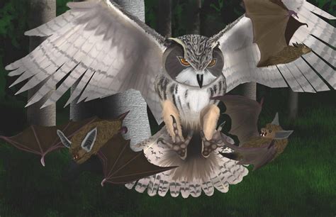 owl attack by zippo419 on DeviantArt