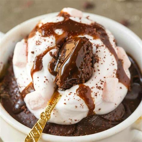 Hot Chocolate Mug Cake (No eggs or dairy!) - The Big Man's World