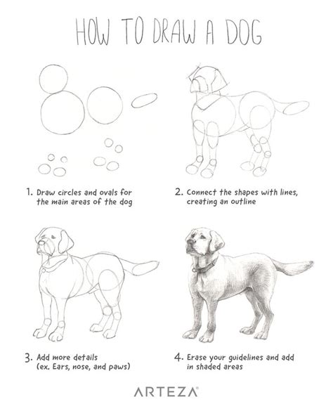 Dog drawing simple, Dog drawing tutorial, Dog drawing