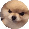 Angry Dog Sticker - Angry Dog Lmao - Discover & Share GIFs