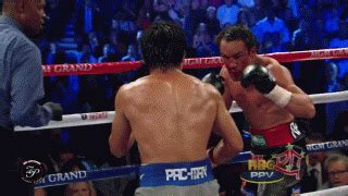 The Manny Pacquiao Knockout Meme Is Born