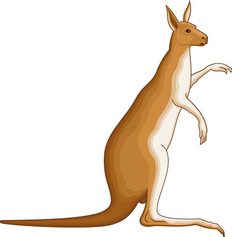 Kangaroo clipart mama, Kangaroo mama Transparent FREE for download on WebStockReview 2024