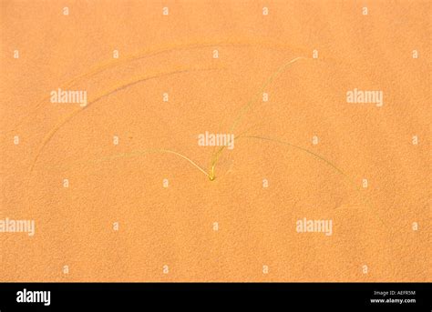 Tadrart Acacus desert Sahara Lybia Stock Photo - Alamy