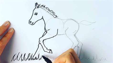 How to draw the cutest horse foal you've ever seen - YouTube