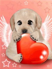 Love You Gif, Cute Love Gif, Cute Love Images, Funny Animal Pictures, Cute Pictures, Cute Gifs ...