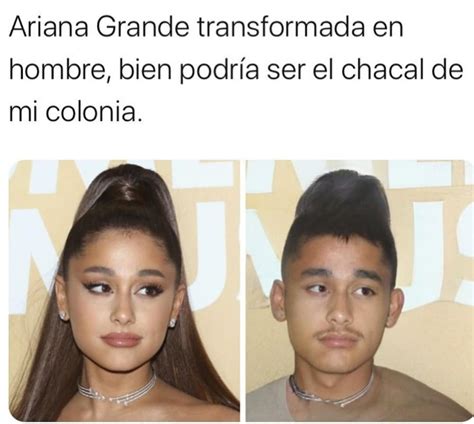 Ariana Grande transformada en hombre, bien podría ser el chacal de mi colonia. - Memes