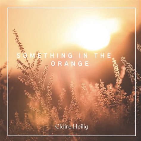 Something In The Orange - Cover - song and lyrics by Claire Heilig ...