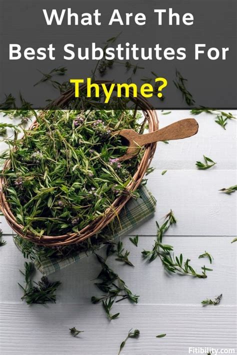 Top 6 Alternatives To Thyme That Will Bring Flavor To Your Meal ...