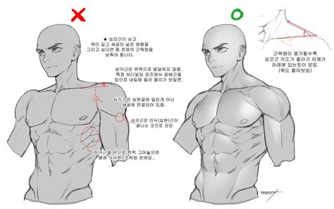 Pin by 蔚海 黃 on 2D_イラストチュートリアル | Anatomy reference, Art reference poses, Drawings