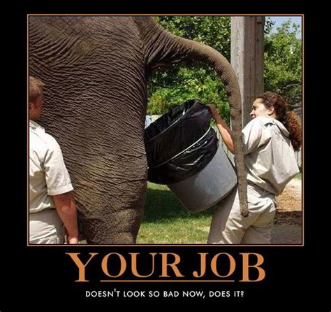 funny motivational posters | Your Job Funny Motivational Poster | Motivational/life pics ...