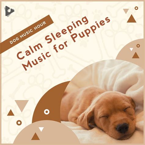 Calm Sleeping Music for Puppies อัลบั้มของ Dog Music Hour Music For ...