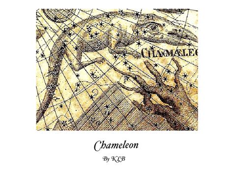 Chameleon | Book 473207