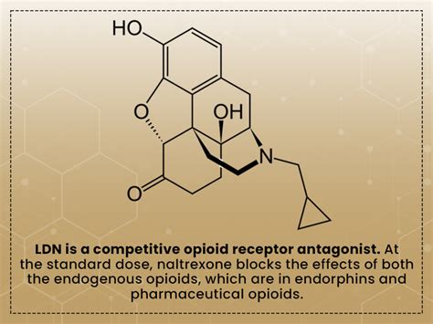 Low-dose Naltrexone (LDN): Usages, Benefits, and Side Effects You Need To Know - King's Pharmacy ...