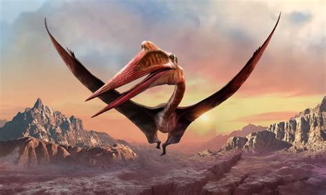 What Were the Largest Flying Dinosaurs? - A-Z Animals