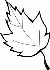 Printable Oak Leaf Coloring Pages sketch template