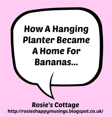 Rosie's Cottage: How A Hanging Planter Became A Home For Bananas...