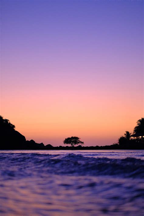 Silhouette of trees near body of water during sunset photo – Free ...