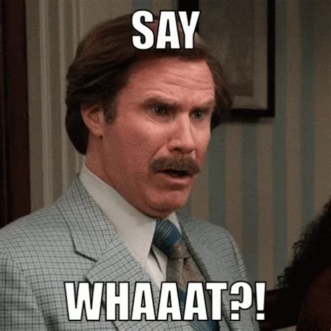 Wtf Will GIF - Wtf Will Ferrell - Discover & Share GIFs