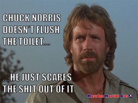 Chuck Norris doesn't flush the toilet - he scares the shit out of it