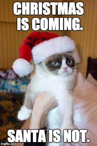 Grumpy Cat Christmas Memes - Imgflip