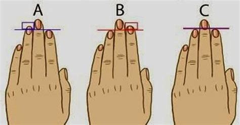 Here’s What Your Finger Length Reveals About Your Personality