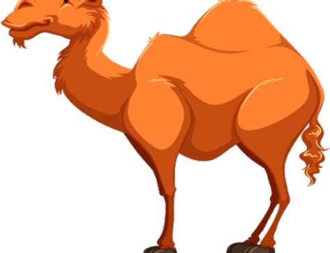 Camel Cartoon PNG - PNG Play