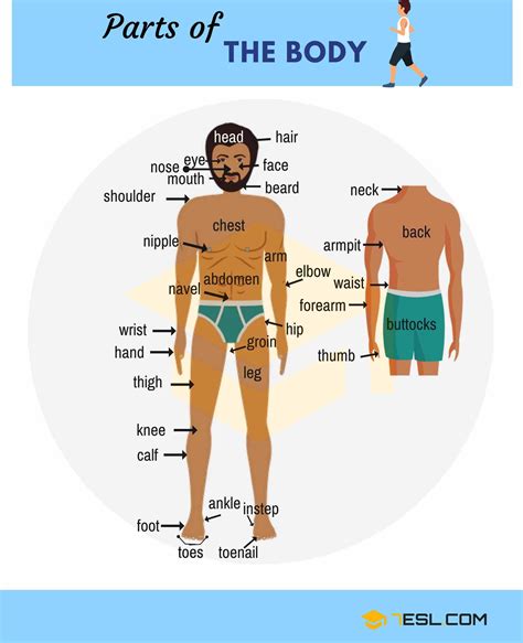 Parts Of The Body in English - ESL Buzz English Tips, English Study ...