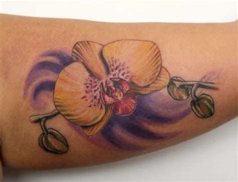 Orchids Cattleya Tattoo Tattoo Pictures Orchid Tattoo Meaning, Tattoos ...