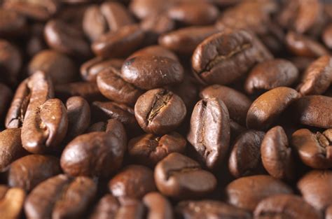 Coffee Seed Pictures | Download Free Images on Unsplash