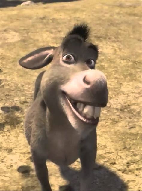 Shrek Donkey Please Boss Blank Template - Imgflip